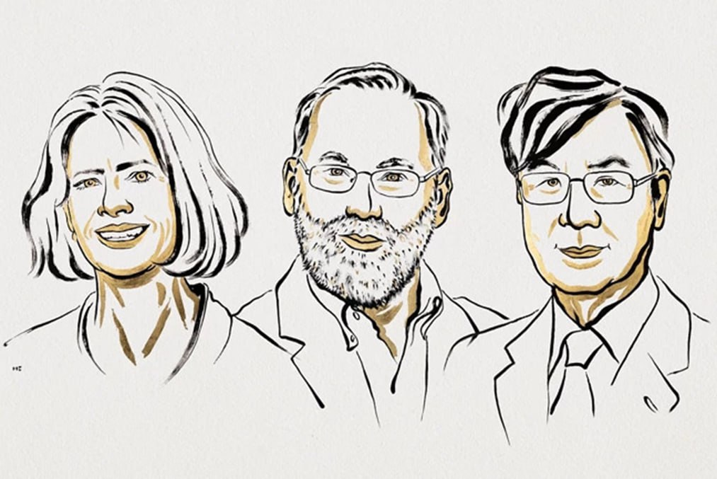 Brunkow, Ramsdell and Sakaguchi Win 2025 Nobel Medicine Prize