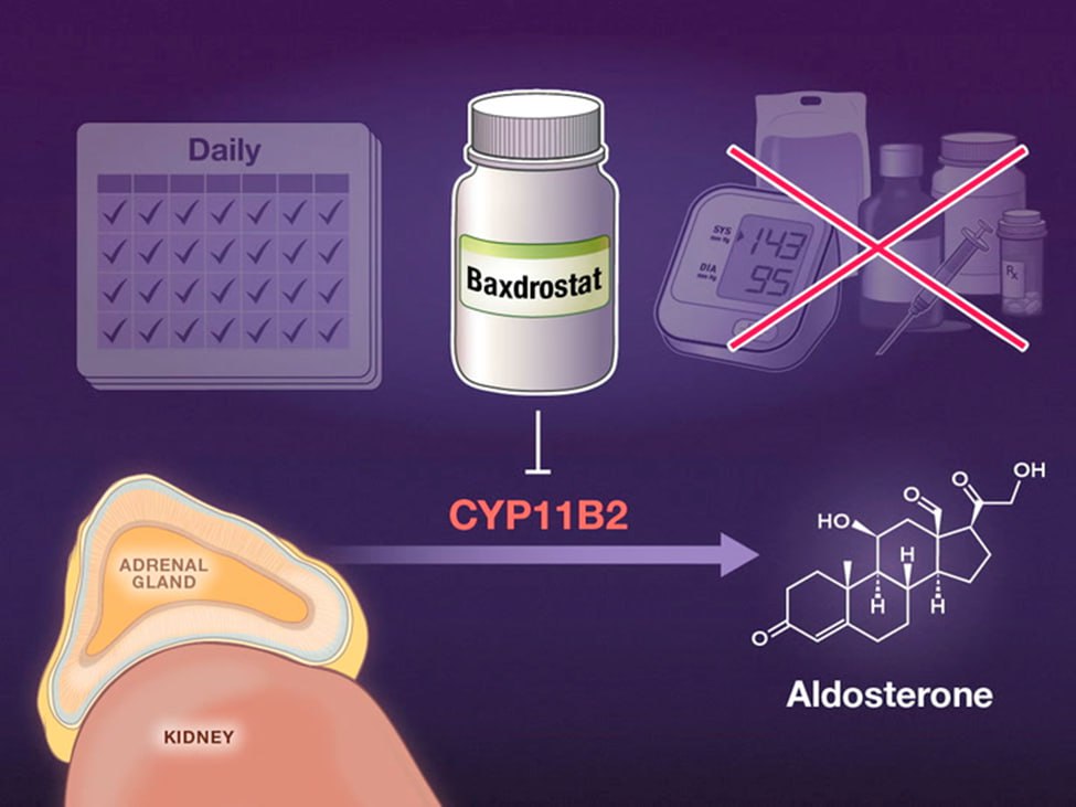 AstraZeneca’s baxdrostat meets main goal in high blood pressure study