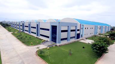 کشف غیرمنتظره گربه و مارمولک در انبار دارو!